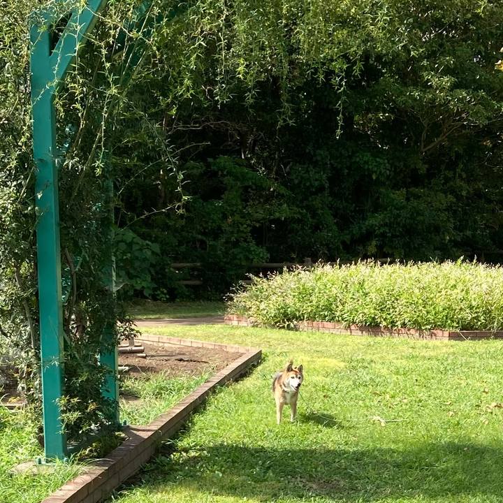 49141213 1f37 46bf b2bf 0ccf5f389bee 1759034847147