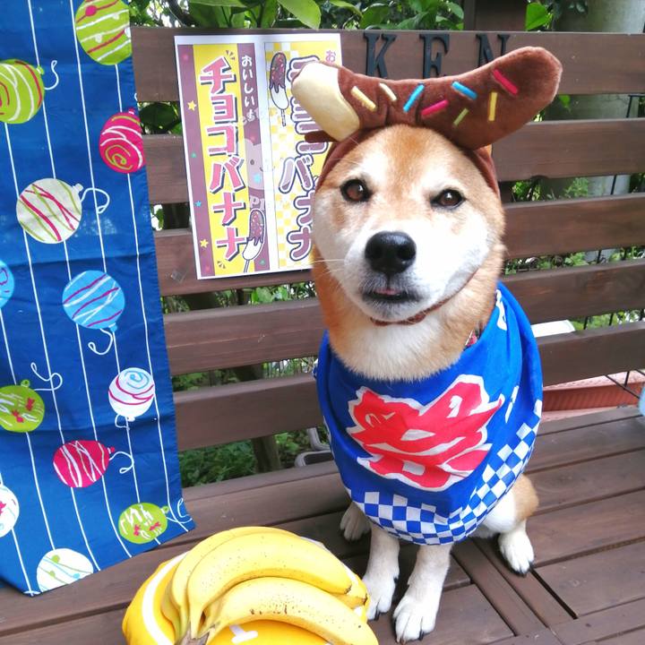 491430ad e484 4685 8eb7 a7d62788ab02 1660355596894