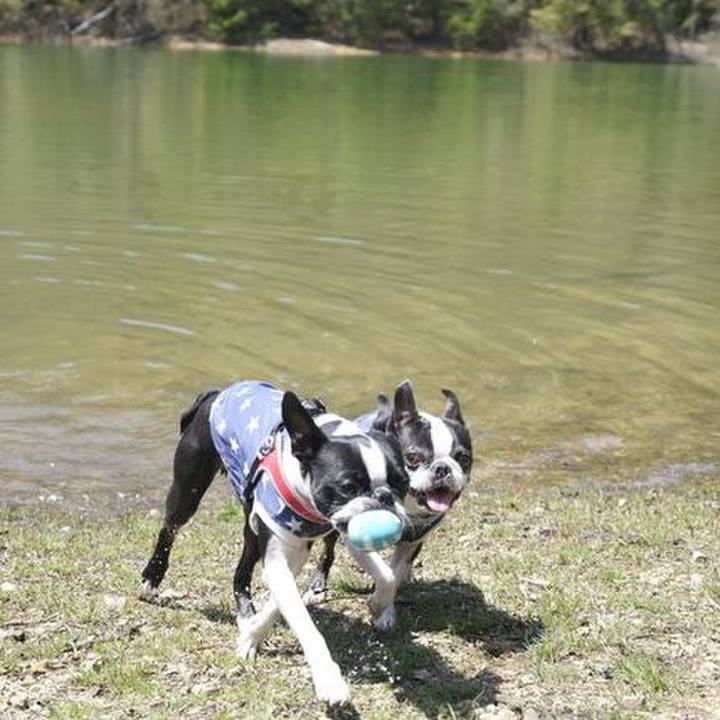 49148624 c8d4 4045 af83 2b28ab18299a 1524218174441