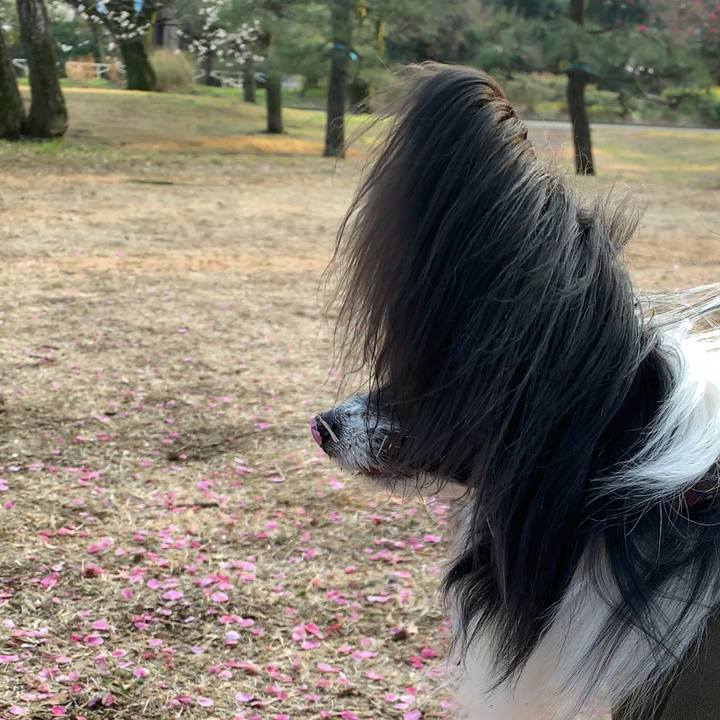 49148f9b 4830 4e4e 8800 7901cf0d4299 1551441875425