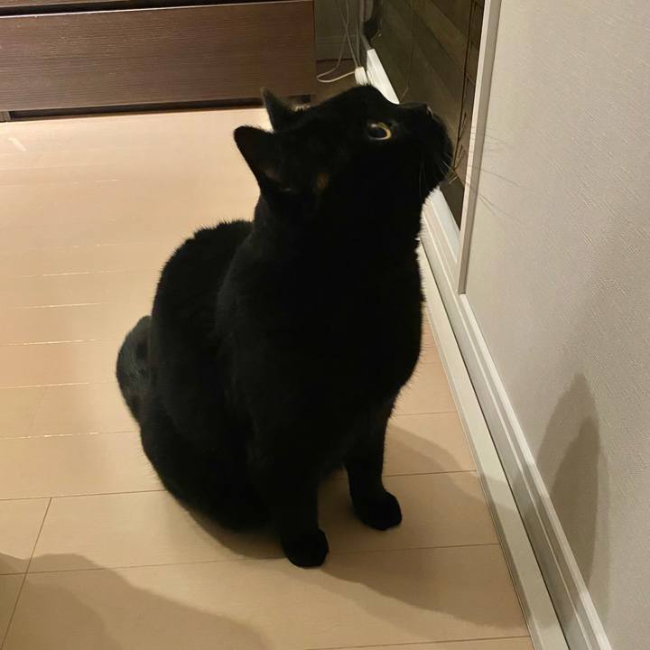 4914916a 3912 4c6b 8bdf 15a6197143aa 1701179052003