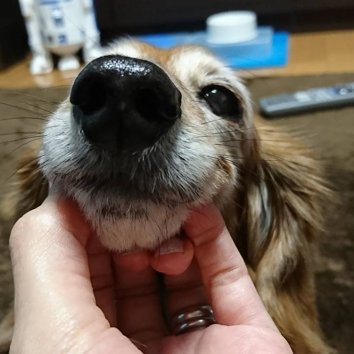 4914a1f8 1365 4bf4 b3b5 baf3a1e8fa2c 1516786405348