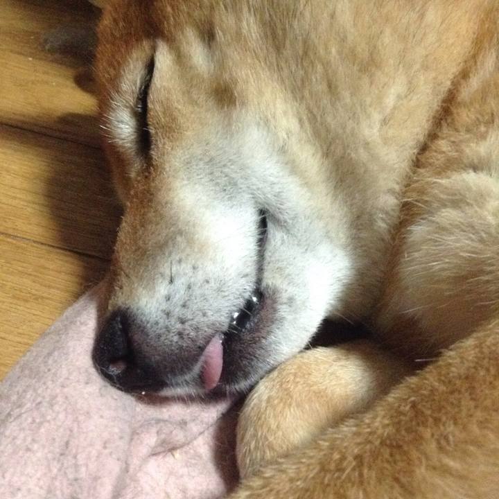 4914c246 5d05 44bc bb8c e3cb3581ccfa 1529670419019