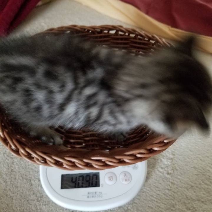 4914d77f 190c 47f9 8374 1463af31b432 1660575687035