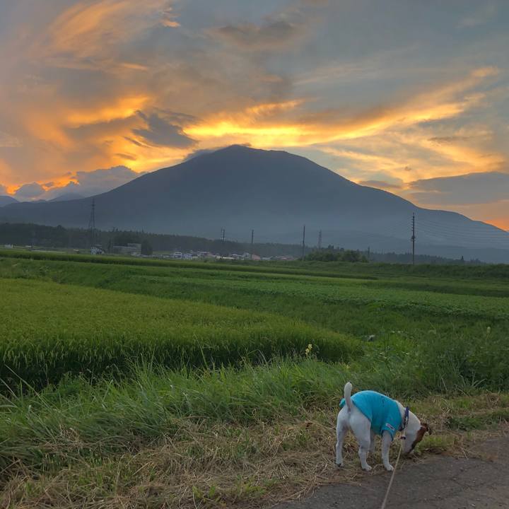 49150f44 928e 4eec af5d a3db429b9210 1598528076384