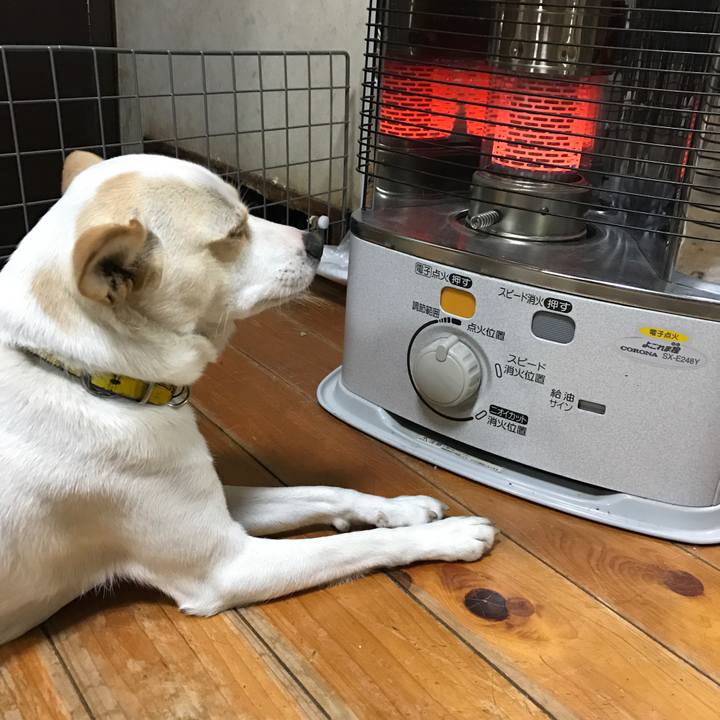 49153eca 7f23 45ac 8d9a ba50b8af1b13 1513049383614