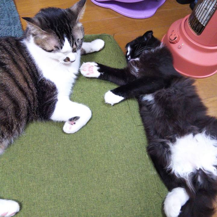 49154456 4614 43ac 9765 6f532dbdc584 1644462967829