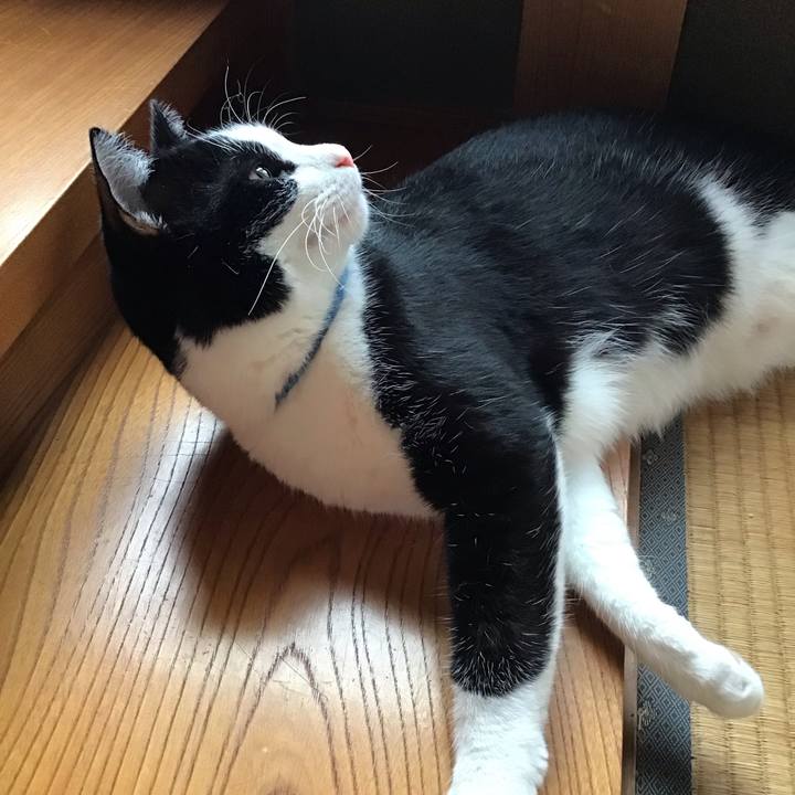 49157e14 5c5b 46f7 adf5 5c837a05a3a4 1691579991795