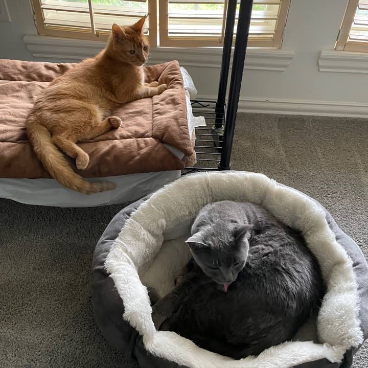 4915a9f9 8930 49af bab9 0948bdd20450 1703815660289