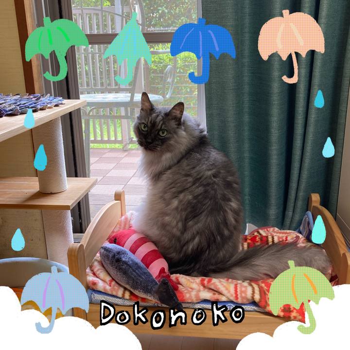 4915cdb8 eb0b 4cbf a0ec cd3b74c00264 1717983828650