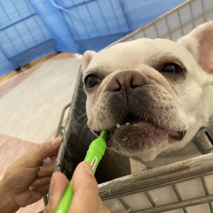 4915ce63 79f5 40d7 8124 a64a390e0772 1758408187096