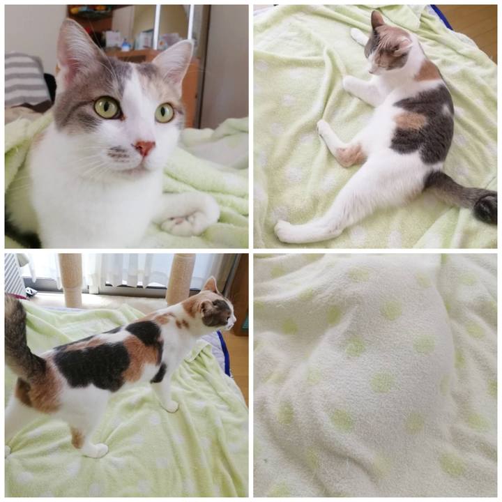 4915d31e 226a 4501 b9e8 92c37232697d 1593698982941