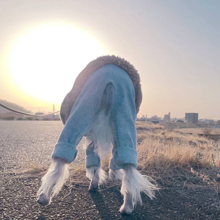 4915e1c1 ec80 45cd 9ea8 ab57b96d7f91 1771840199283