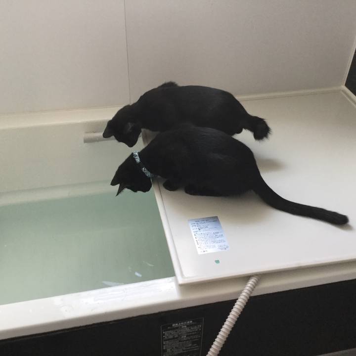 49161027 1dce 448d b868 f40832906808 1510446569191