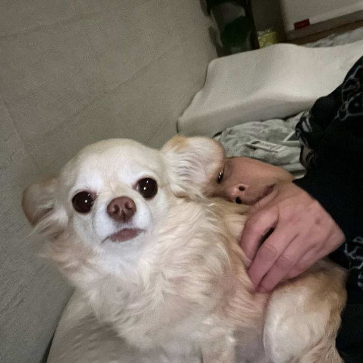 491686ad 1b0e 46f8 a78b 6cb2d2d8bd54 1770726591099