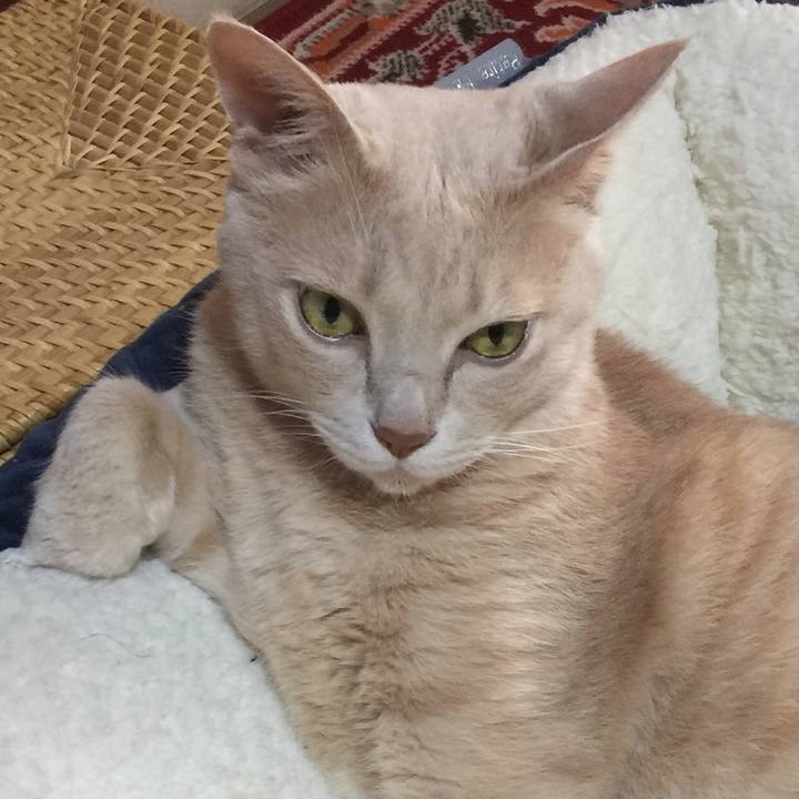 4916ad58 556a 4f08 86a5 a906f0fc2484 1595198977430