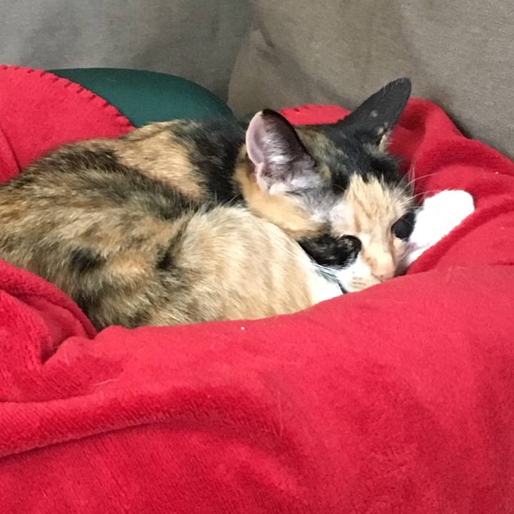 4916b6c8 f253 4889 a002 8fb7889bbc40 1512190922518