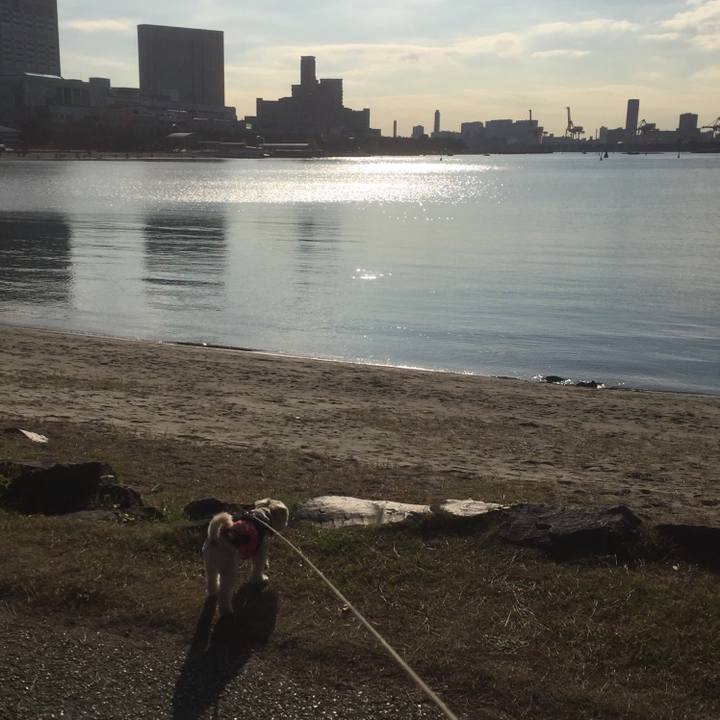 4916d7c1 fbbb 4022 8f3c a852f4eb4743 1512392806049