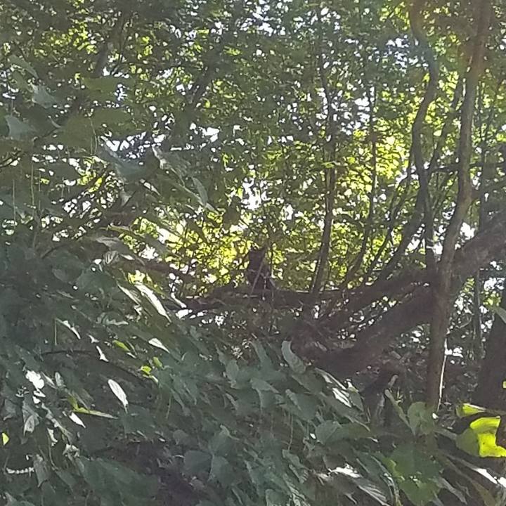 49171b43 bb39 46c7 abcd e753ab8056e9 1569561200594