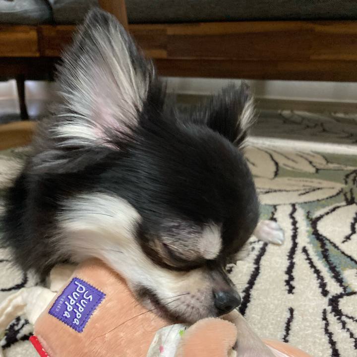 49173ba2 8c4e 463f 8ea9 23a5175802b4 1628775655004