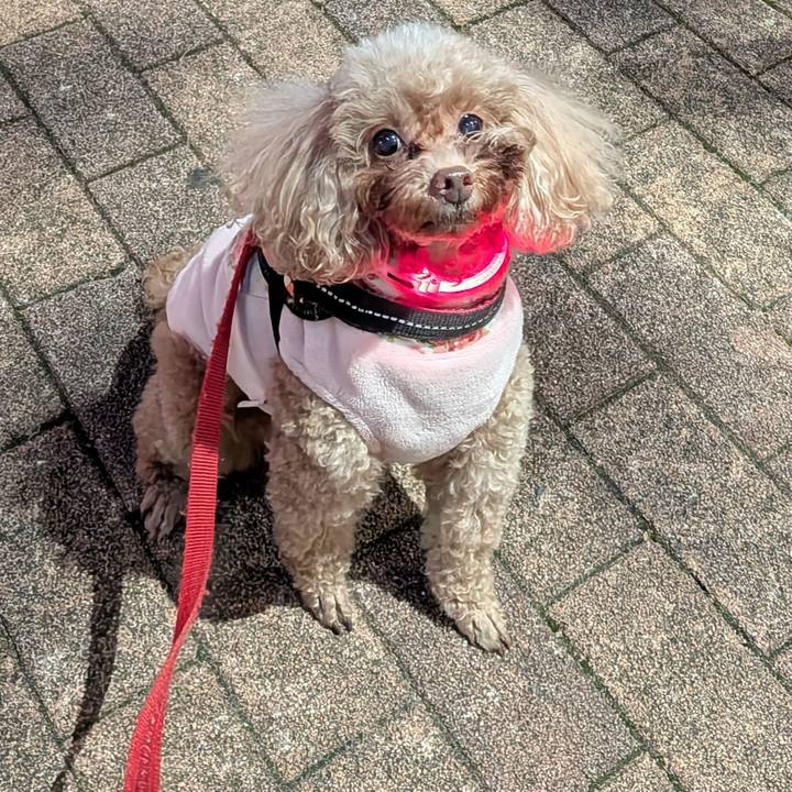 49177700 80a5 4572 954c 0944764705ff 1763170616993