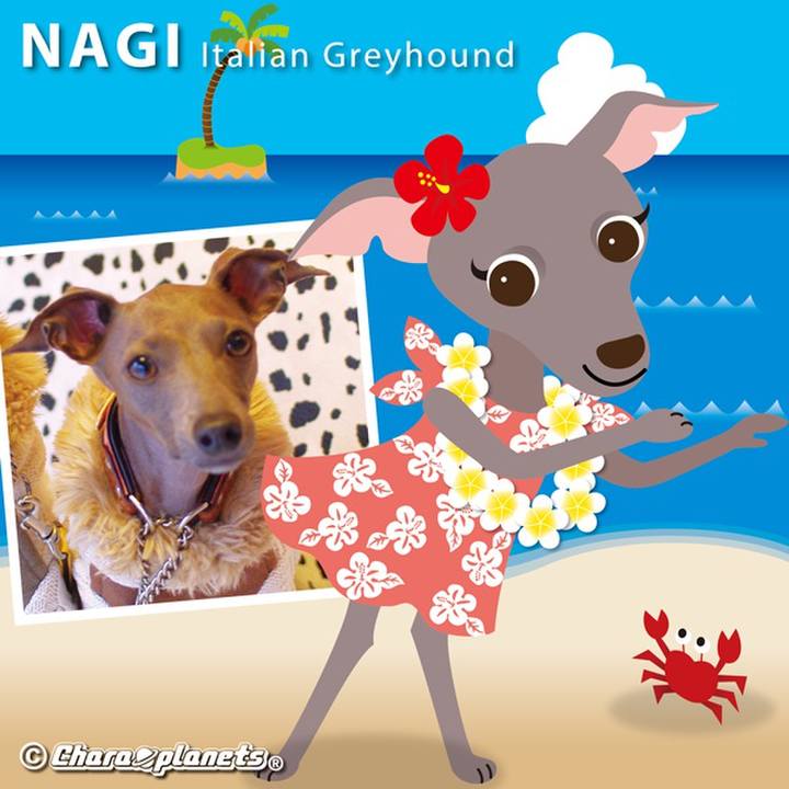 49177d8d bf8b 4d5d 98f1 ff00a3ad2af7 1567645184427