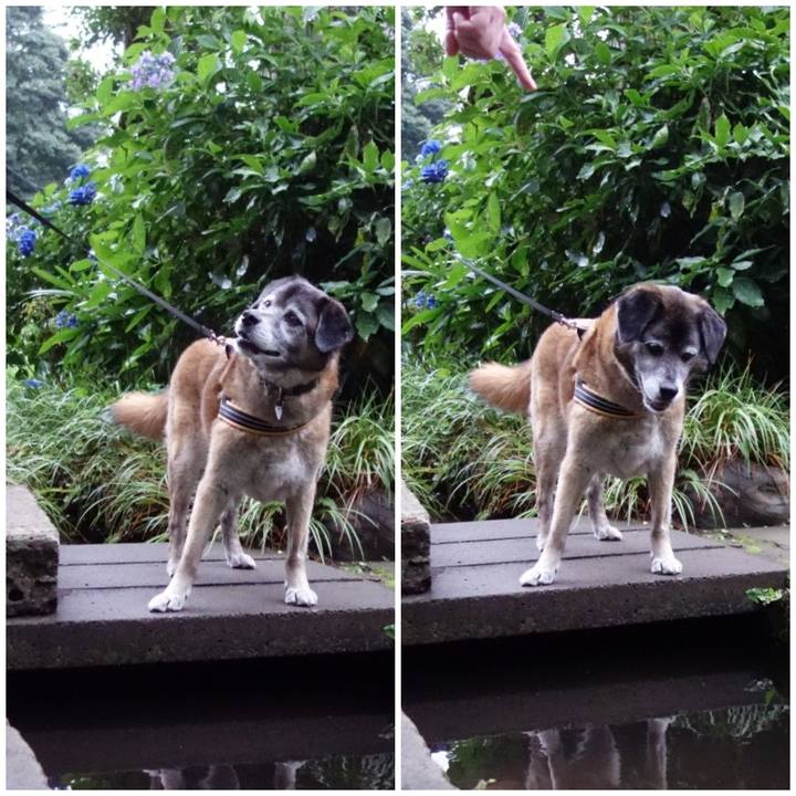 4917a61c 2065 4e25 8bb3 014fd6f07b08 1561208534929