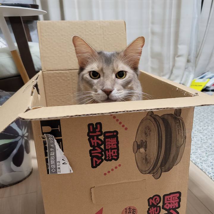 4917f421 50a5 46b0 89e0 b1c128e5c624 1660615604350