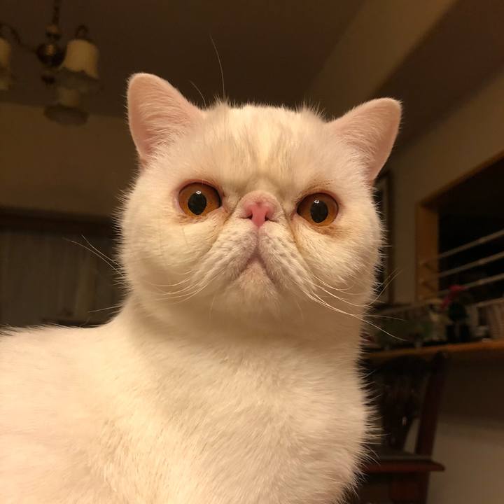 4917f4ff 5196 426b 9d79 565988aad813 1609329061640