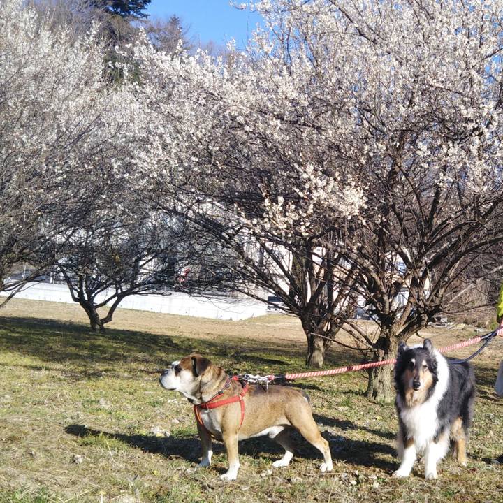 49184b07 5fe2 4a54 ad04 34173d743faa 1582553872114