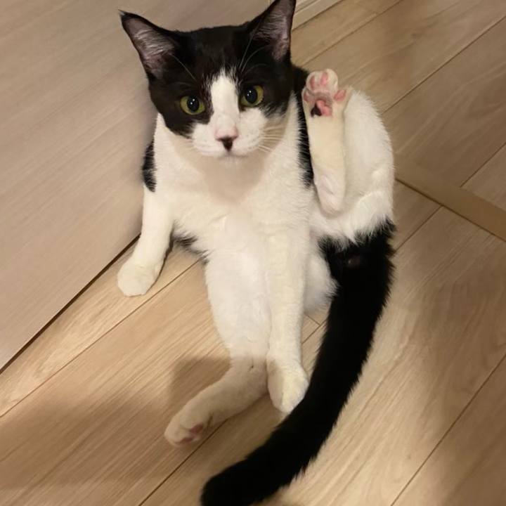 49185f4c f6ce 430e a9cc d23a9678931a 1718801788138