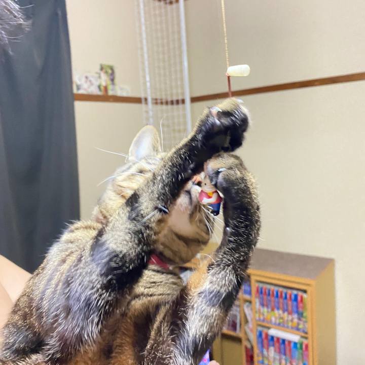 49189be8 a873 44be b90d 9e6f5a6418db 1608387659714