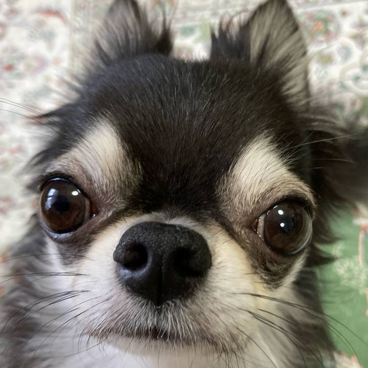 4918c78a a083 43ee 935a 529a1fb0da72 1665788759065