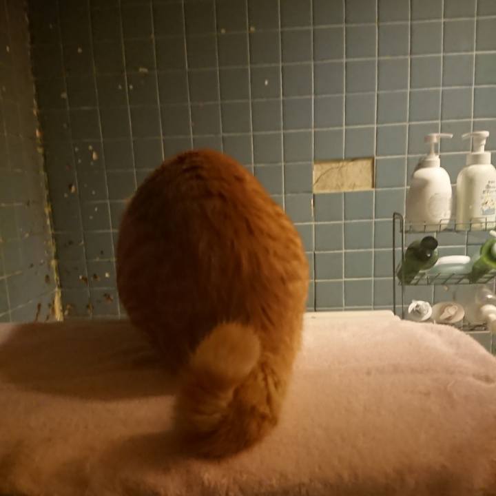 4918ecbd 20f5 4092 9a06 d4f88197f89b 1639306215250