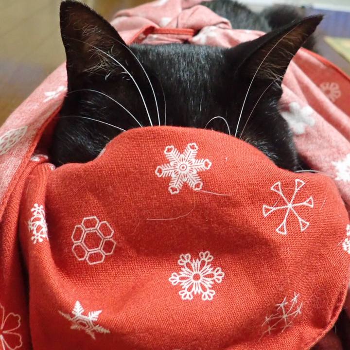 4918efd6 b998 44ba a469 3fb6664cd34c 1528291186474