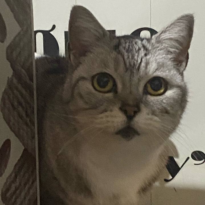 4918f2a4 d6e6 4724 b800 dcd75f798fd9 1774435602510