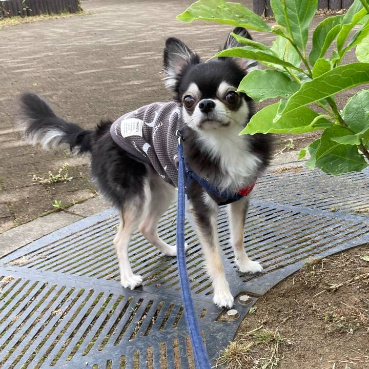 4918fcc8 174a 424e b256 d3f9add504f6 1683992317252