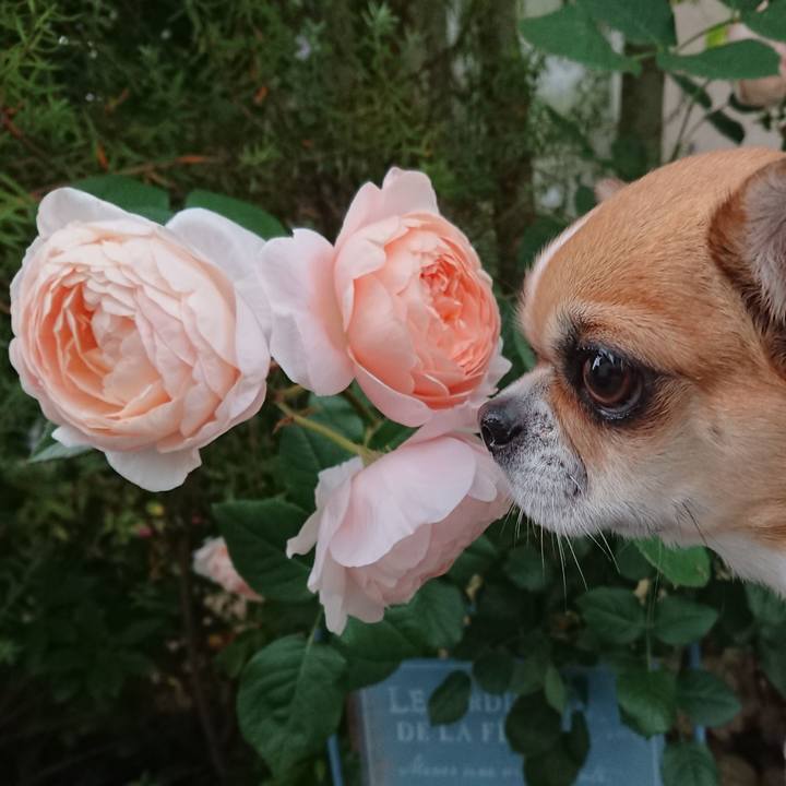 49190d1c 4ebd 40f2 8bcd bd98ac0f8fbd 1620725676490