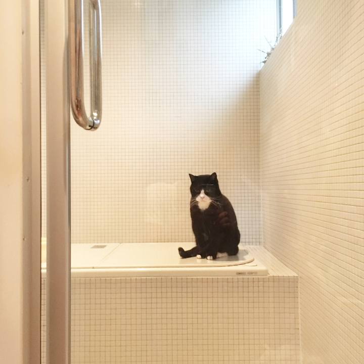 49193b6a f61f 47b2 9da1 9d953a90f9aa 1555119089931