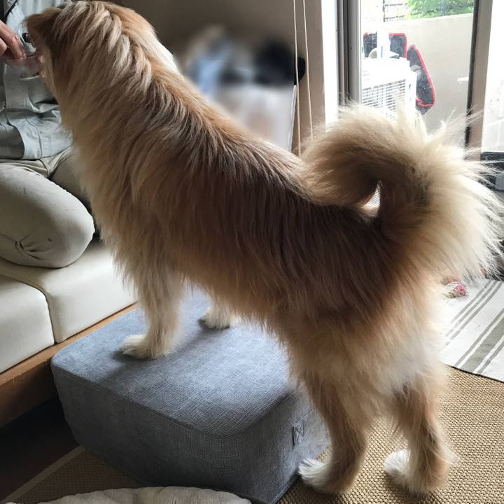 4919923c 6e3a 4454 ba2c 3dd546ea9139 1650263919128