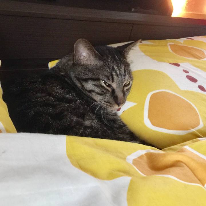 4919dd23 ad73 4b18 9fc4 2a910e38e17e 1525313919839