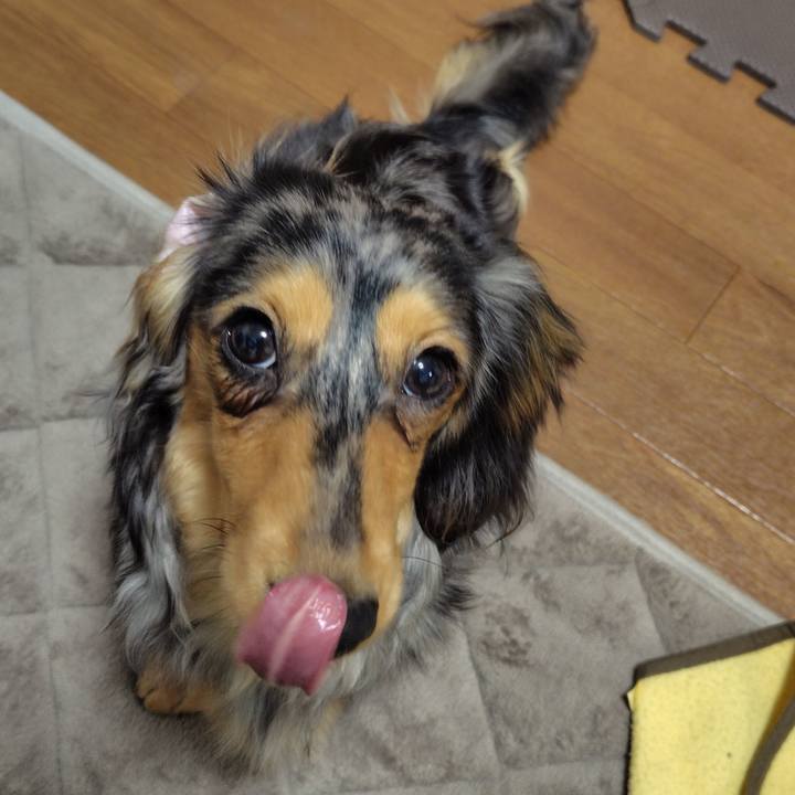 4919eae5 b420 4acc aaf7 a2a9687ec770 1712141615706