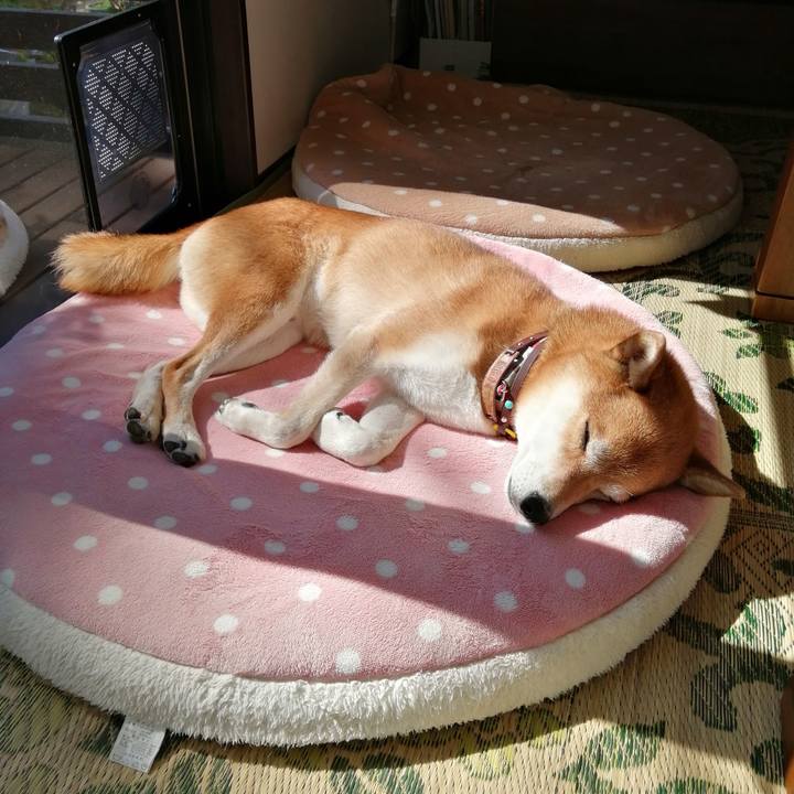 491a625f 3bdf 4835 baea f8ba15b6b7a1 1666322819515