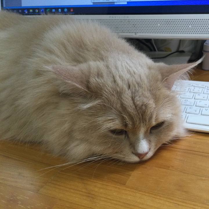 491aaaf0 3051 4ac1 81d2 a7dafa727de1 1650980406939