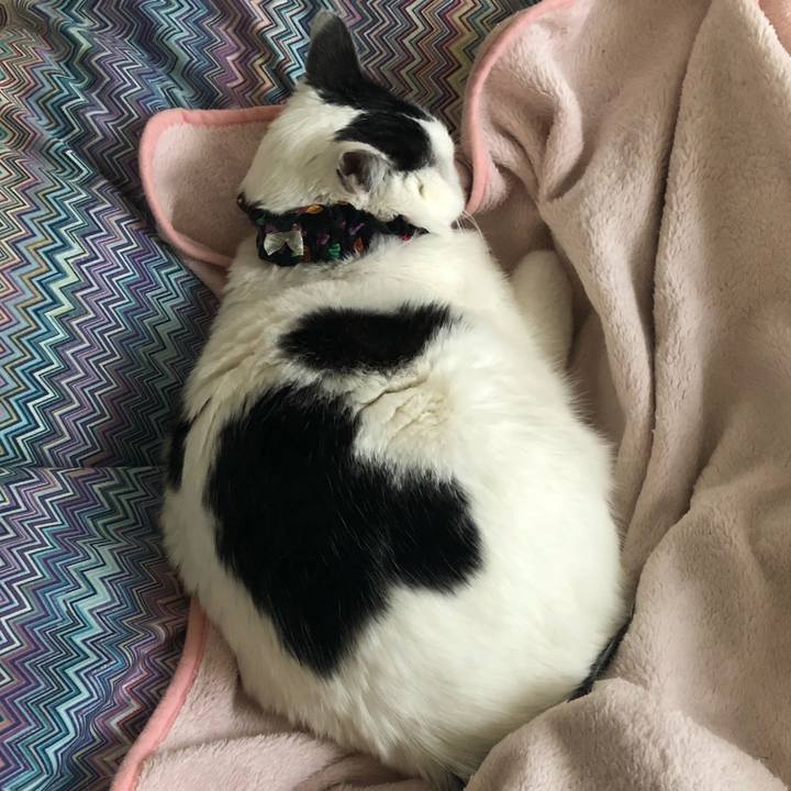 491ae872 595c 48a8 98e5 be5972410fed 1519169041559