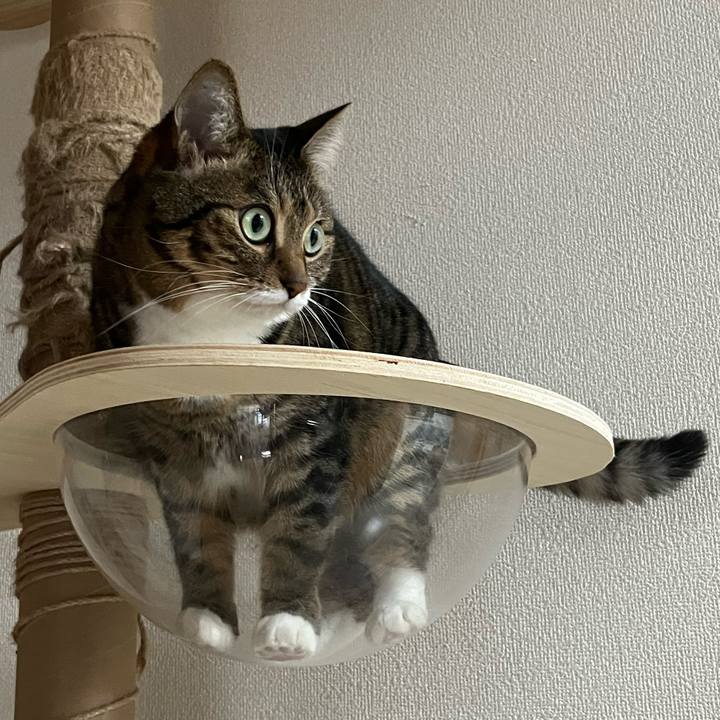 491b11c4 27c9 4271 9860 0fbc8efc4745 1696926280510