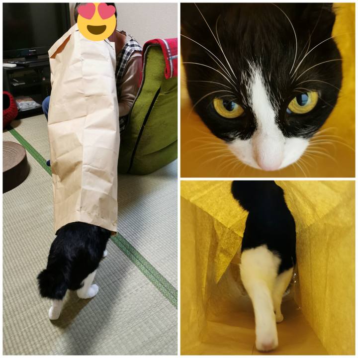 491b16f3 dacb 480d 8983 bbcc6bd595b4 1665633652760