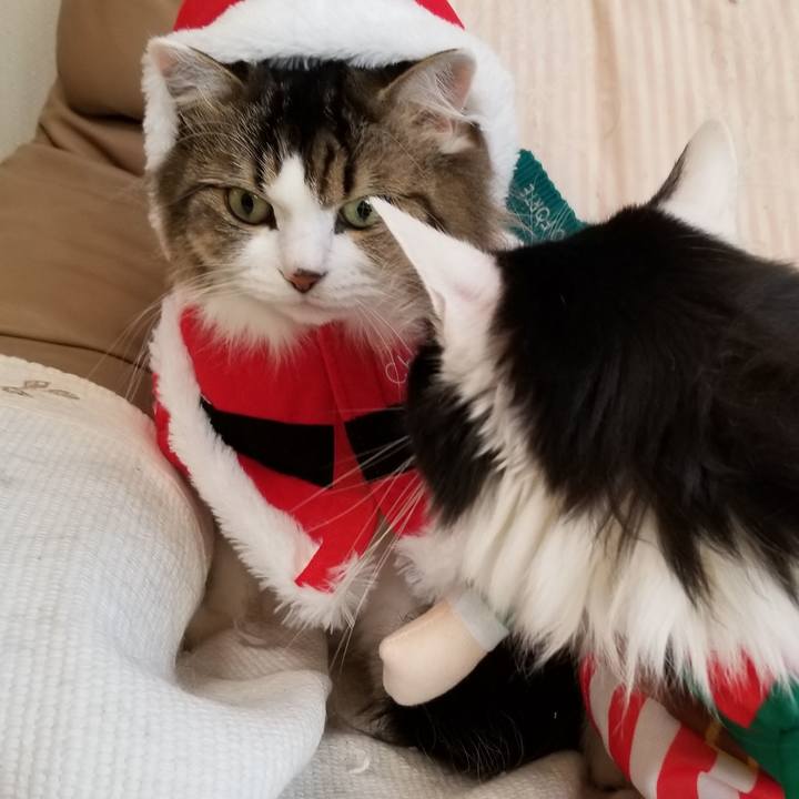 491b5bb1 16c4 4cab 9ad7 af7bf0cf184b 1573914618489