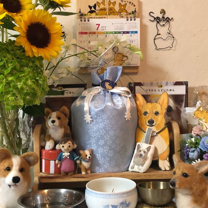 491bb3c5 4de3 468d 9427 0ec894023abd 1561973138170