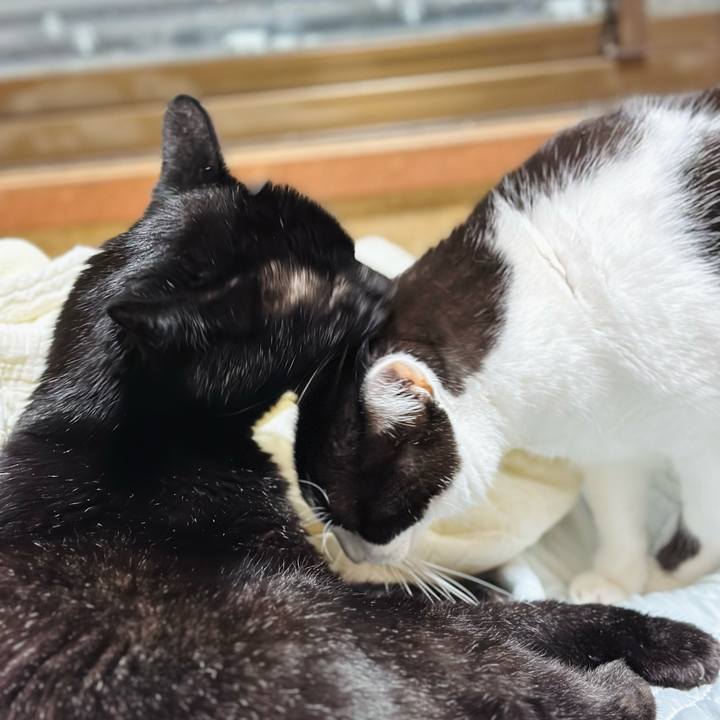 491be5ae ec89 421a 8170 b6f1e0f79ae2 1696555631113